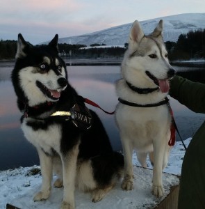 Skye and Nanook
