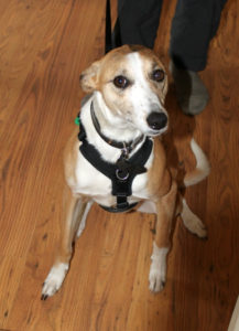 Barclay