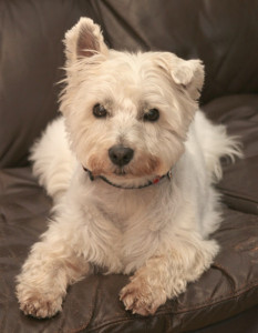 Casper