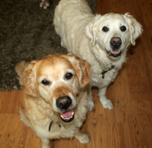 Ellie and Tessa