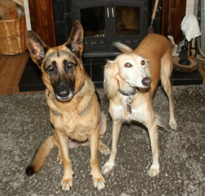 Gwynny and Jess
