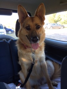 Bonnie