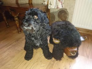 Molly and Hamish