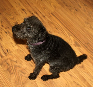 Tilly