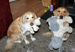 Vivi and Saoirse